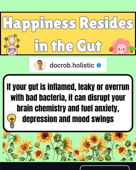 docrob holistic.